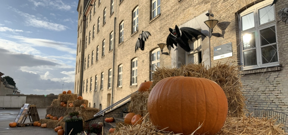 Halloween at Cellegangen