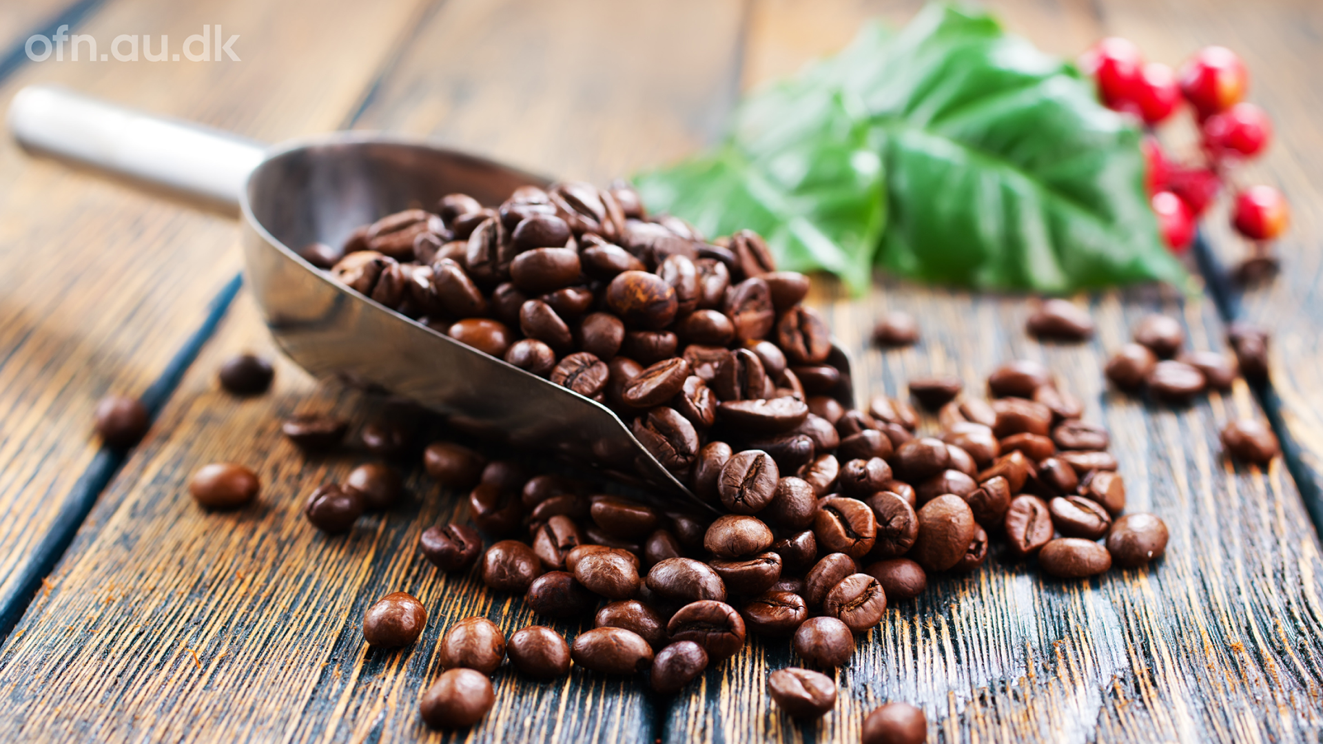 Coffee // livestream from Aarhus University