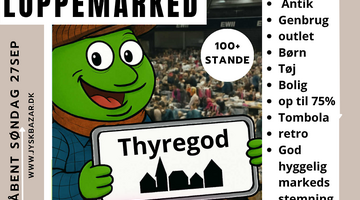 HUGE Flea & Antique Market at Thyregod Centret
