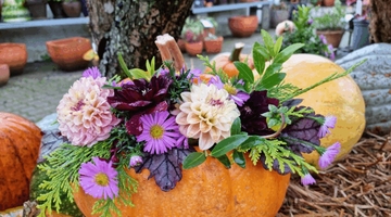 Autumn Market at Tinnetgaard: Experience the beauty of autumn with heartwarming activities in the countryside.